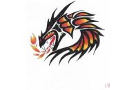 Motorcycle Roads Head of the Dragon