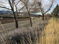 Motorcycle Roads CA Route 36 from Esparto to Wilbur Springs