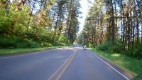 Motorcycle Roads Allyn to Spirit Lake Highway (Avoids I-5)