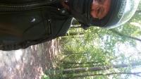 Motorcycle Roads Natchez Trace Parkway
