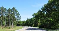 Motorcycle Roads The Arkansas Dragon - Hwy 123